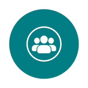 Program Management